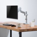 Uchwyt biurkowy do monitora szary Ergo Office, ze sprężyną, 17"-32", 9 kg, ER-407G