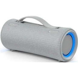 Sony XG300 X-Series Portable Wireless Speaker, Gray