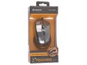 Mysz A4TECH V-TRACK N-500F-1 Glossy Grey USB