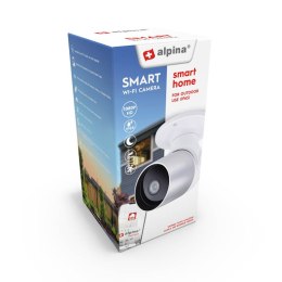 Alpina - Inteligentna kamera IP Wi-Fi FullHD obrotowa zewnętrzna
