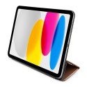 Guess 4G Stripe Allover - Etui iPad 10.9" (2022) (Różowy)