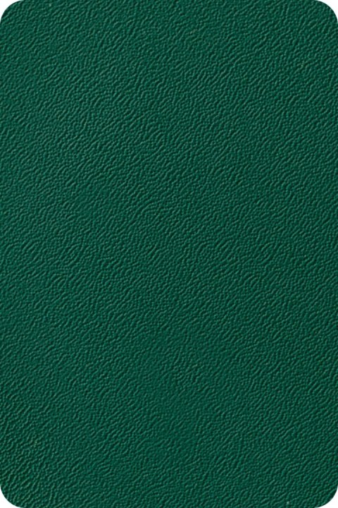 Taśma ogrodzeniowa 26mb Thermoplast® ORANGE SKIN 190mm ZIELONA